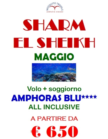 SHARM EL SHEIKH SOTTOCOSTO 